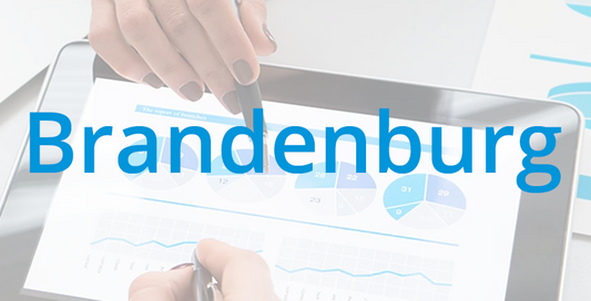 Brandenburgischer Innovationsgutschein (BIG)