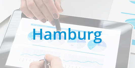 Fördergeldantrag Hamburg Digital Check