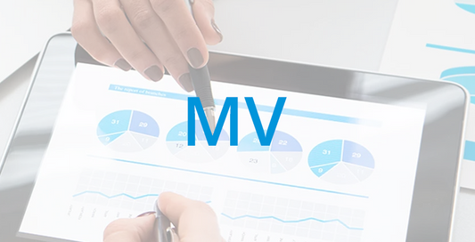 Fördergeld-Antrag Digitalisierungsförderung MV - Stufe 1 und Stufe 2