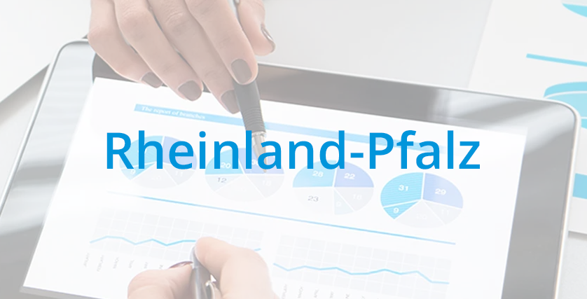 Betriebsberatungsprogramm Rheinland-Pfalz