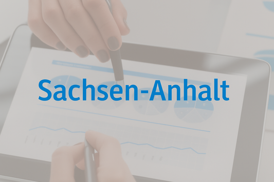 Fördergeld-Antrag Sachsen-Anhalt Digital 2023